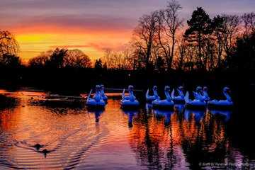 Autumn at Cannon Hill Park, Birmingham (November 2019)